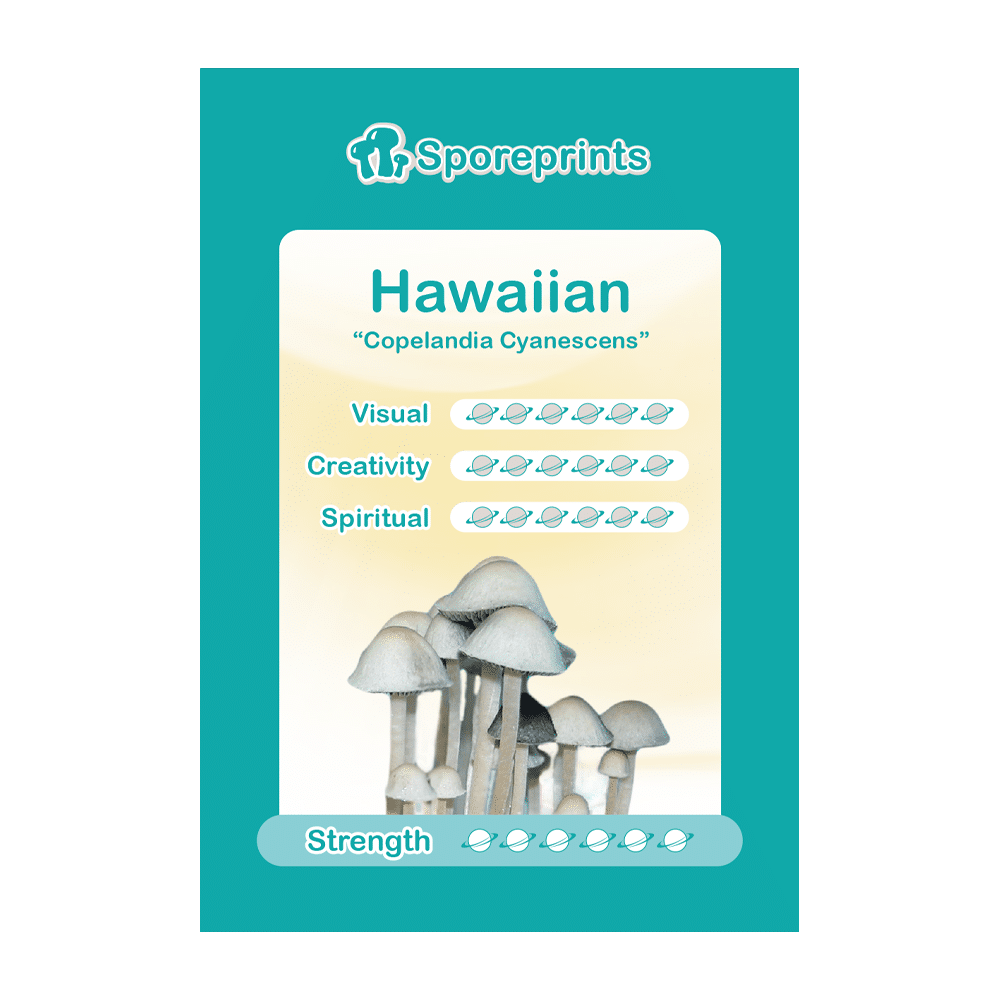 Hawaiian Sporeprint - Image 2