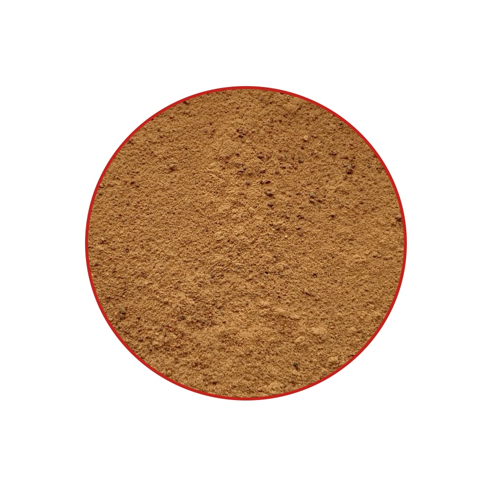 Cola Nut - Image 2
