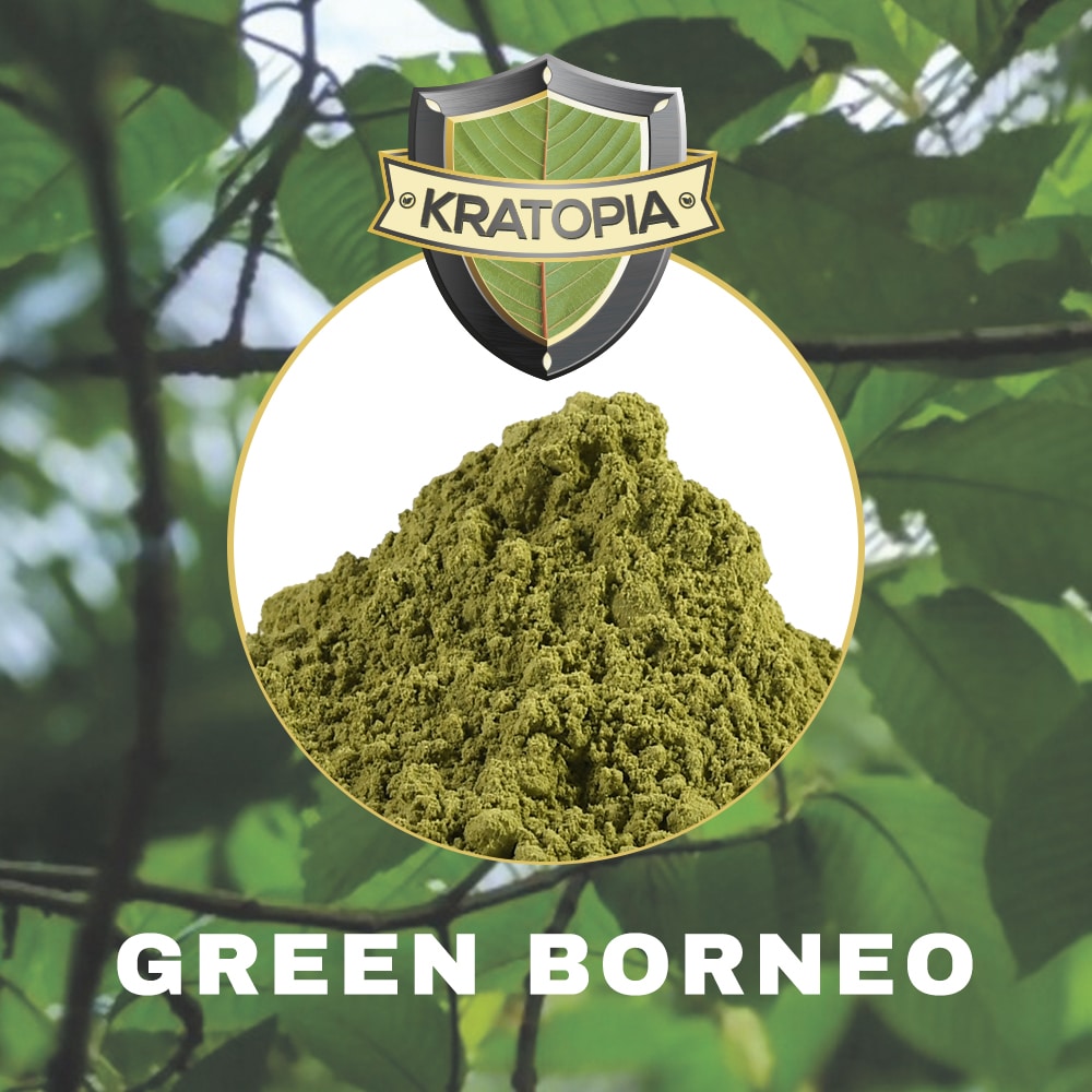 Green Borneo Kratom - Image 2
