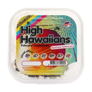 High Hawaiians Magic Truffles