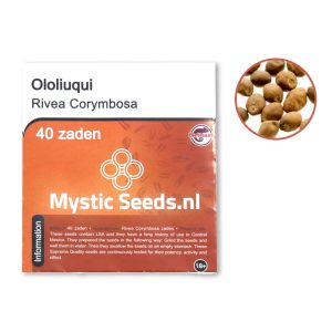 Ololiuqui Seeds