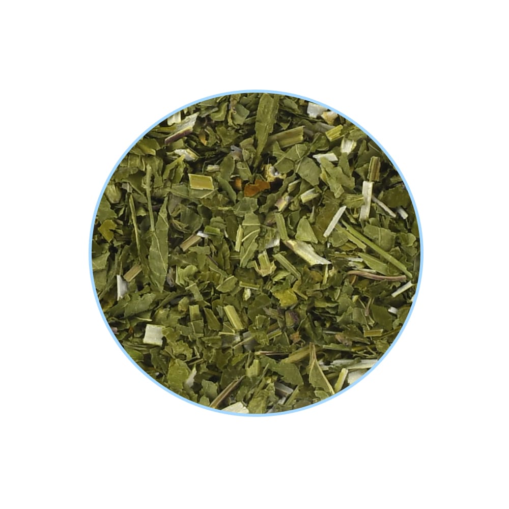 Skullcap - Image 2