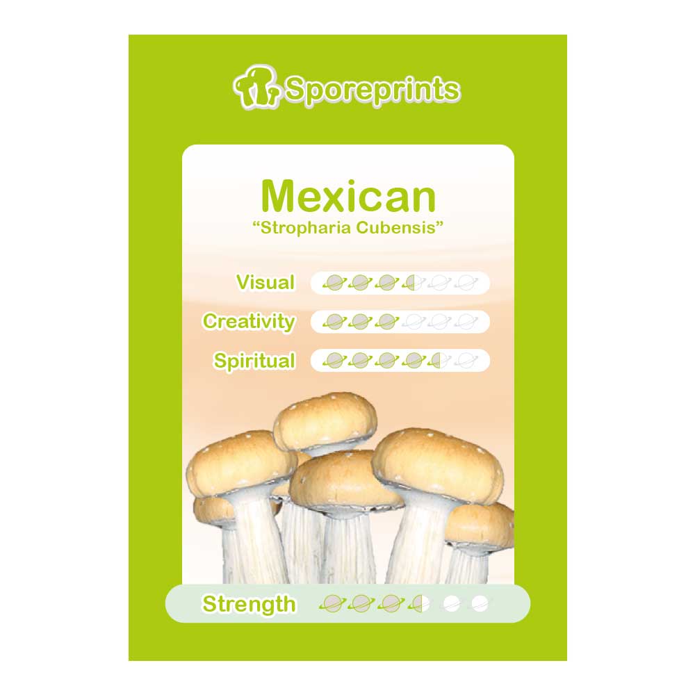 Mexican Sporeprint - Image 2