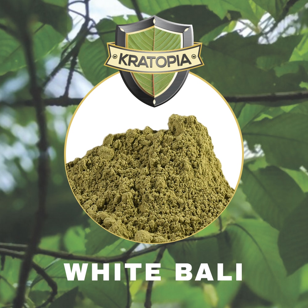 White Bali Kratom - Image 2