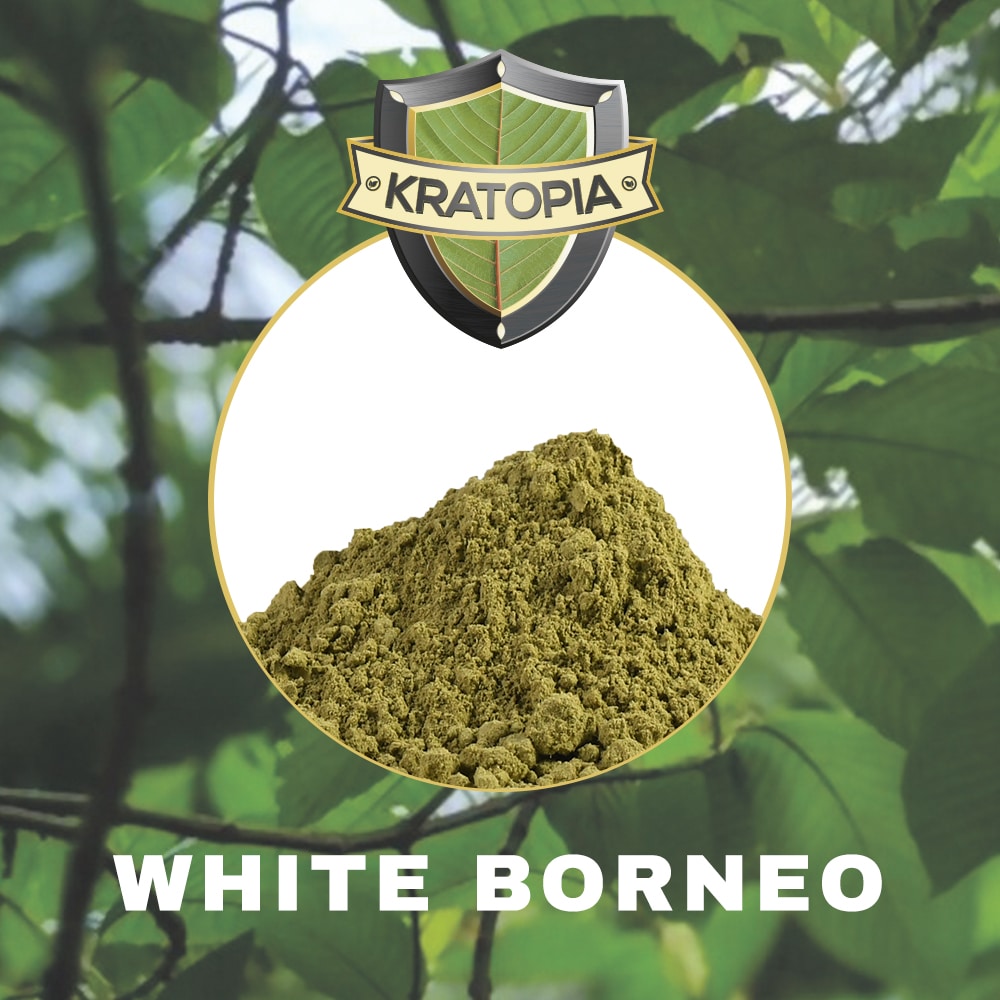 White Borneo Kratom - Image 2