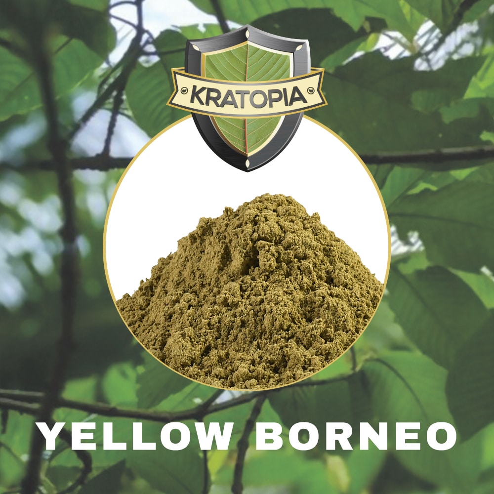 Yellow Borneo Kratom - Image 2