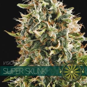 Super Skunk – Vision Seeds